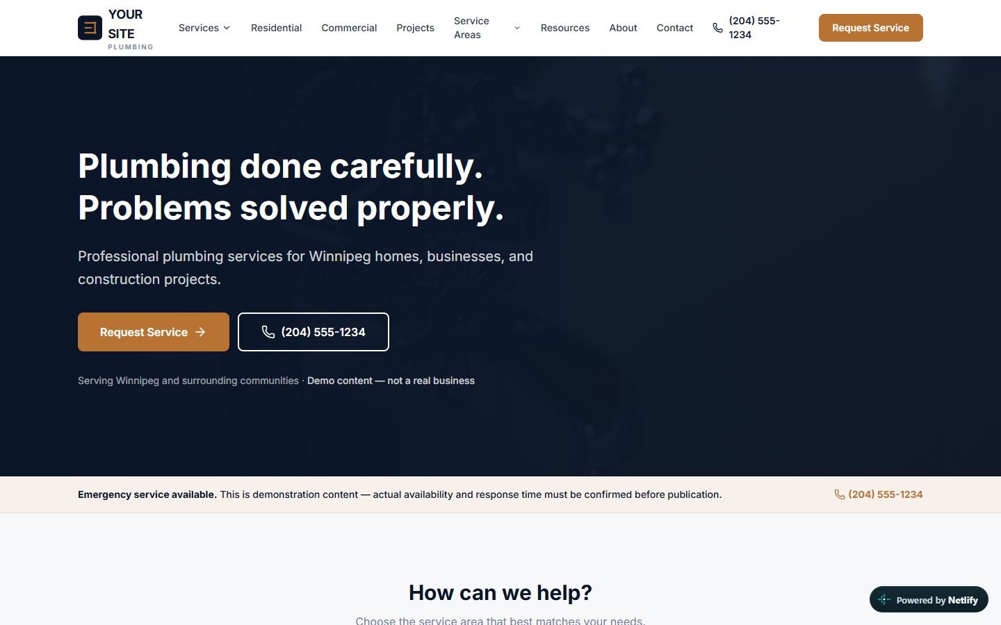 Plumbing Pro — Edition 3